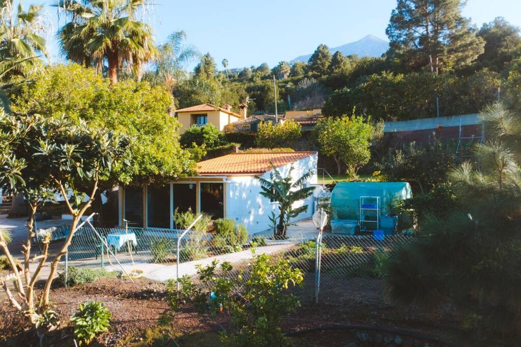 Casita Gopal Villa Icod De Los Vinos Exteriör bild