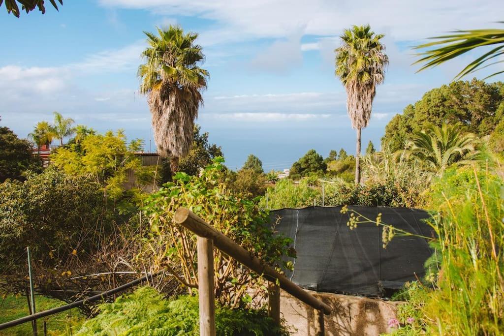 Casita Gopal Villa Icod De Los Vinos Exteriör bild